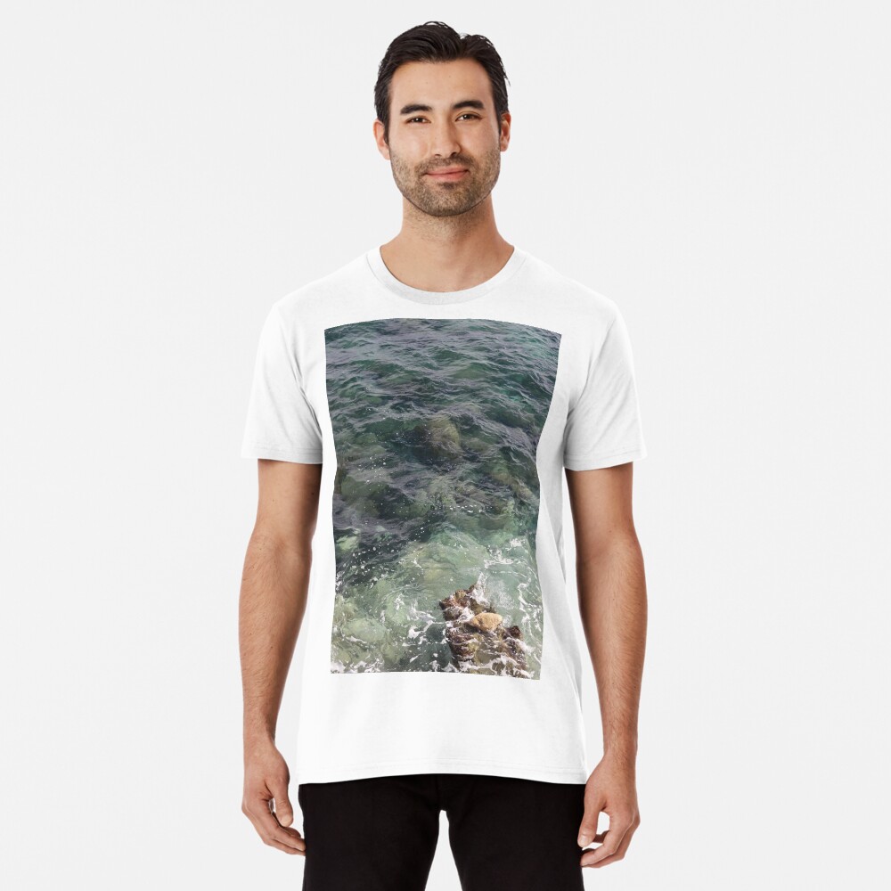 Artikel-Vorschau von Premium T-Shirt, designt und verkauft von IneffableIllust.