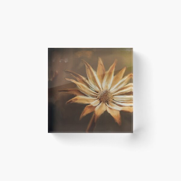 Item preview, Dry plant  designed and sold by Shury Vision Art.
