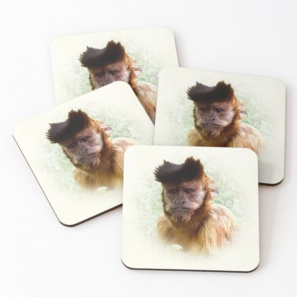 Item preview, Tufted Capuchin designed and sold by Guardi71.