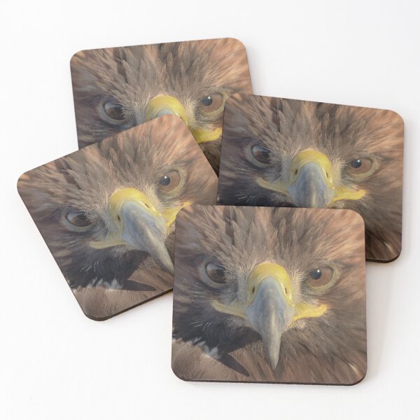Item preview, Eagle in Dubai designed and sold by Eric Nagel.