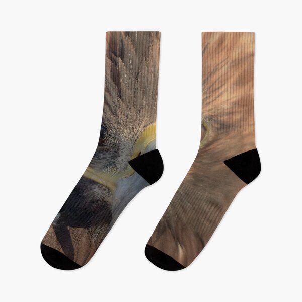 Item preview, Eagle in Dubai designed and sold by Eric Nagel.