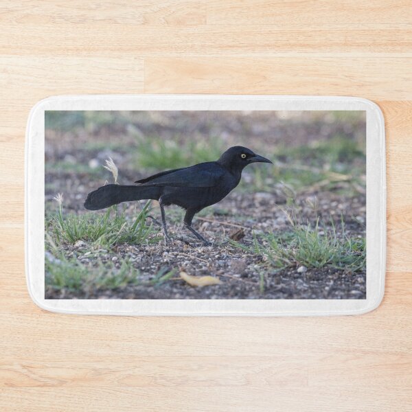 Item preview, Carib Grackle designed and sold by LaurenTucker.