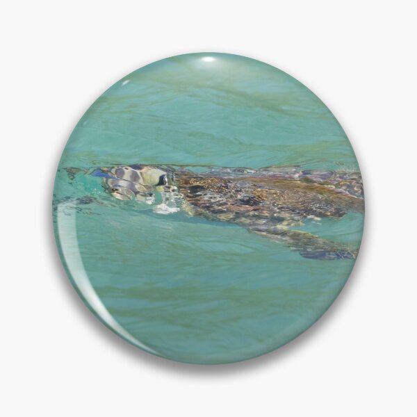 Item preview, Hawksbill Turtle designed and sold by LaurenTucker.