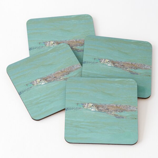 Item preview, Hawksbill Turtle designed and sold by LaurenTucker.