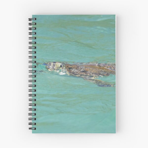 Item preview, Hawksbill Turtle designed and sold by LaurenTucker.