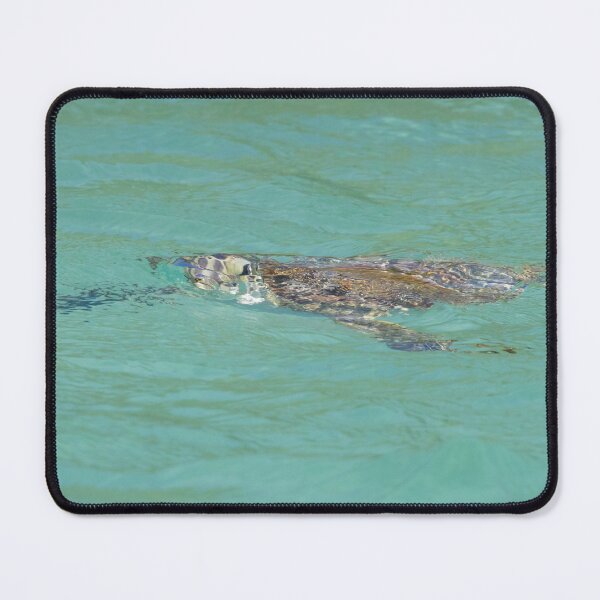 Item preview, Hawksbill Turtle designed and sold by LaurenTucker.