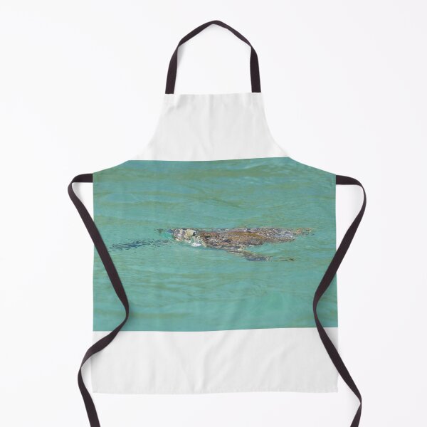 Item preview, Hawksbill Turtle designed and sold by LaurenTucker.