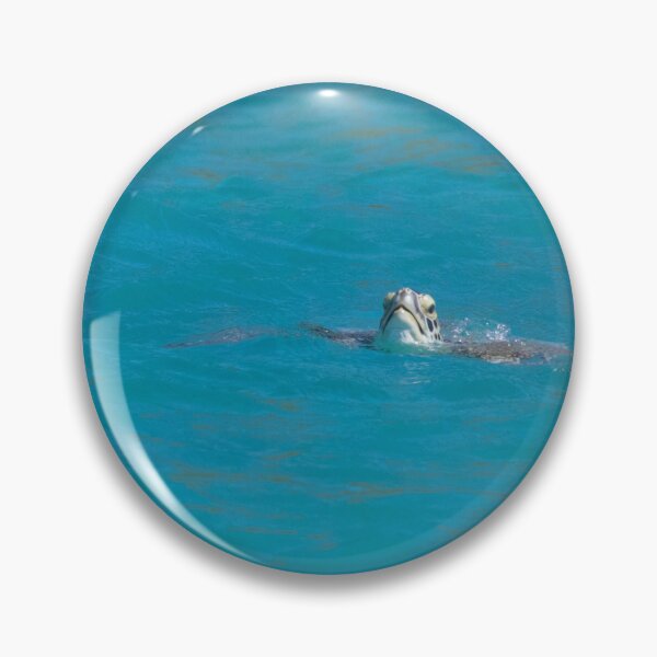Item preview, Hawksbill Turtle designed and sold by LaurenTucker.