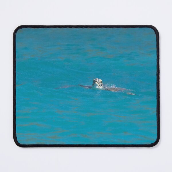 Item preview, Hawksbill Turtle designed and sold by LaurenTucker.