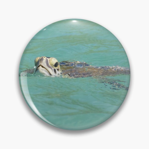 Item preview, Hawksbill Turtle designed and sold by LaurenTucker.