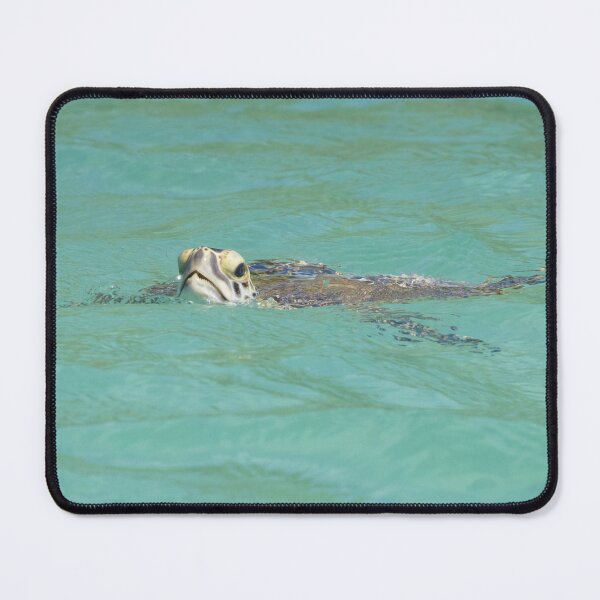 Item preview, Hawksbill Turtle designed and sold by LaurenTucker.