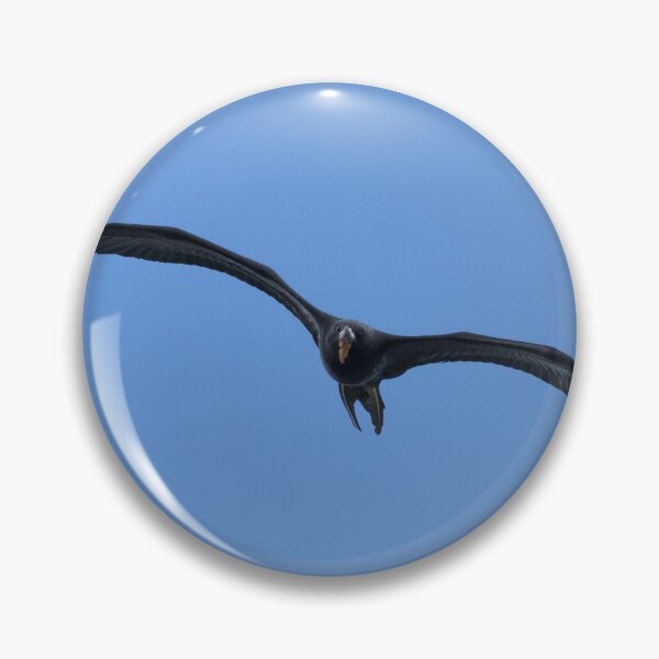 Item preview, Magnificent Frigatebird designed and sold by LaurenTucker.