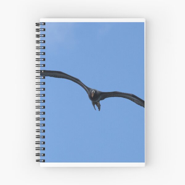 Item preview, Magnificent Frigatebird designed and sold by LaurenTucker.
