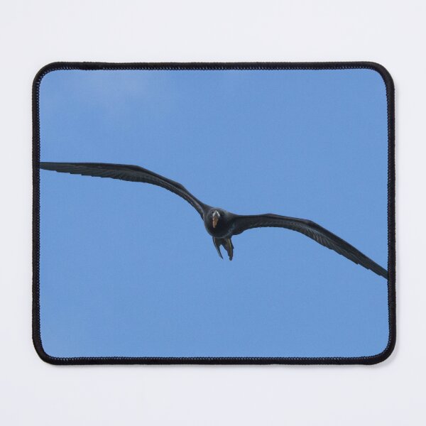 Item preview, Magnificent Frigatebird designed and sold by LaurenTucker.