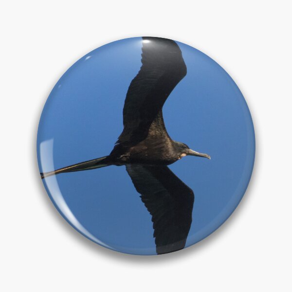 Item preview, Magnificent Frigatebird designed and sold by LaurenTucker.