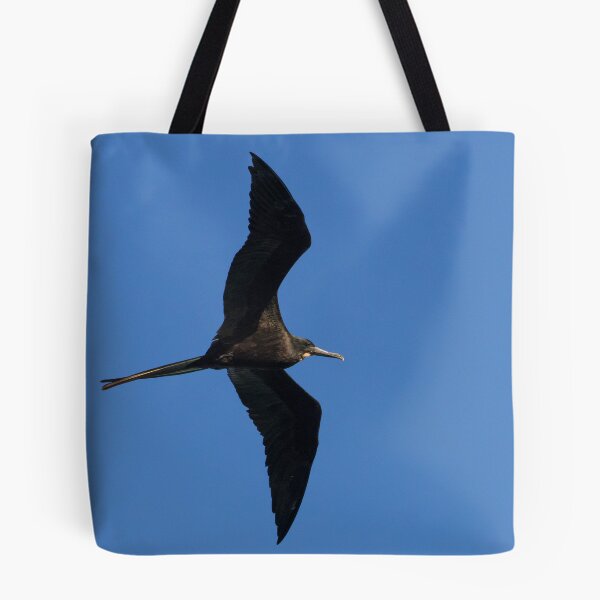 Item preview, Magnificent Frigatebird designed and sold by LaurenTucker.
