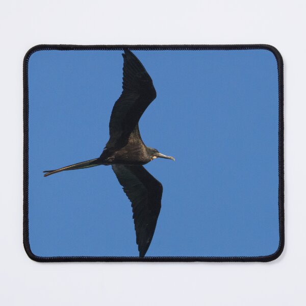 Item preview, Magnificent Frigatebird designed and sold by LaurenTucker.