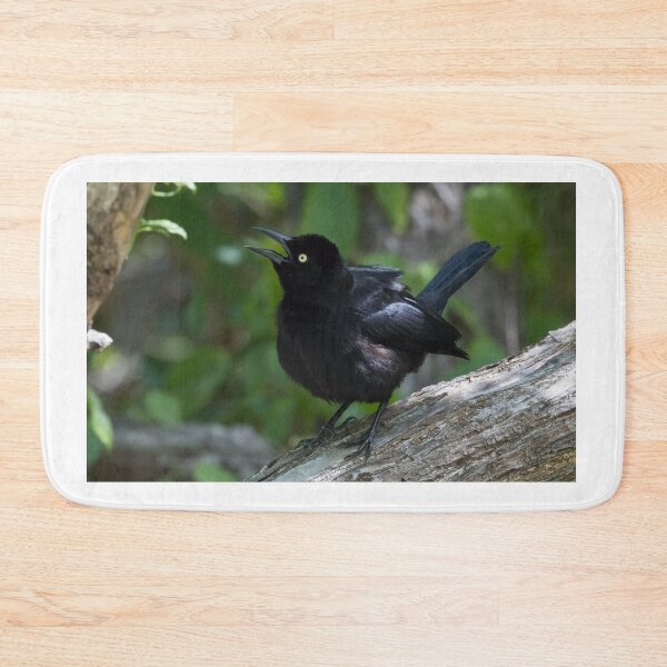Item preview, Carib Grackle designed and sold by LaurenTucker.