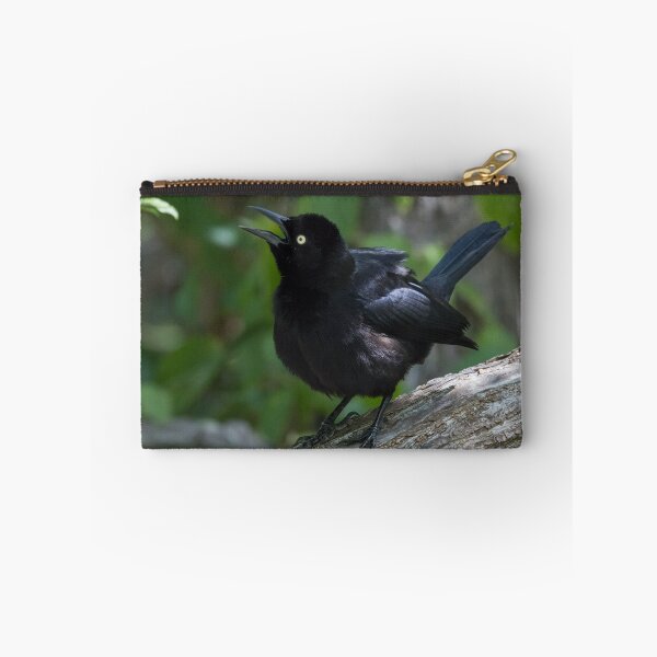 Item preview, Carib Grackle designed and sold by LaurenTucker.