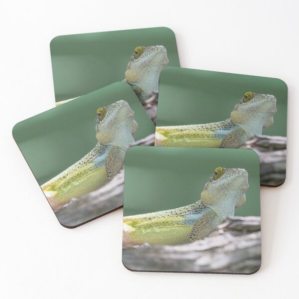 Item preview, Antiguan Anole Lizard designed and sold by LaurenTucker.