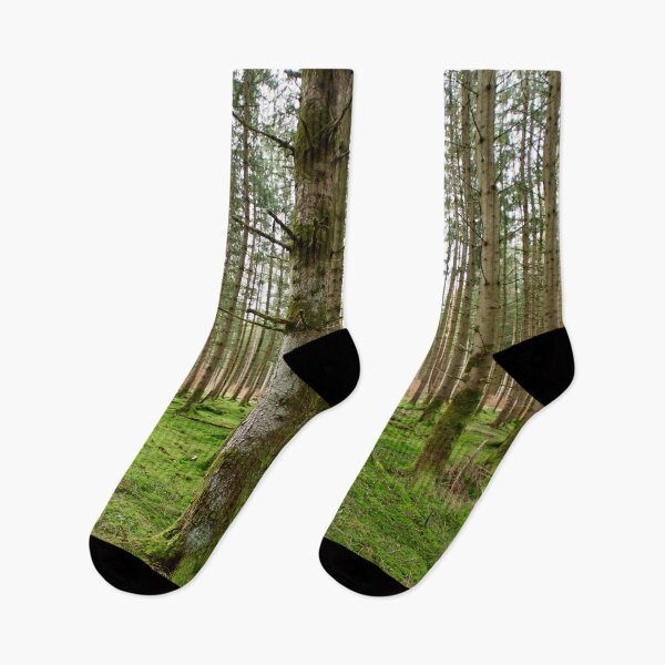 Item preview, Evergreen Forest Bliss 1 designed and sold by Anita's & Bella's Art.