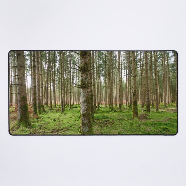 Item preview, Evergreen Forest Bliss 1 designed and sold by Anita's & Bella's Art.