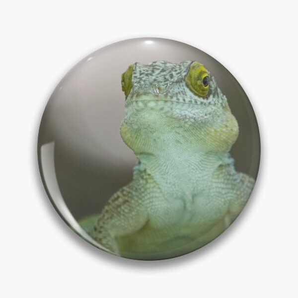 Item preview, Antiguan Anole Lizard designed and sold by LaurenTucker.