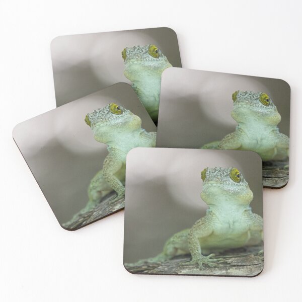 Item preview, Antiguan Anole Lizard designed and sold by LaurenTucker.