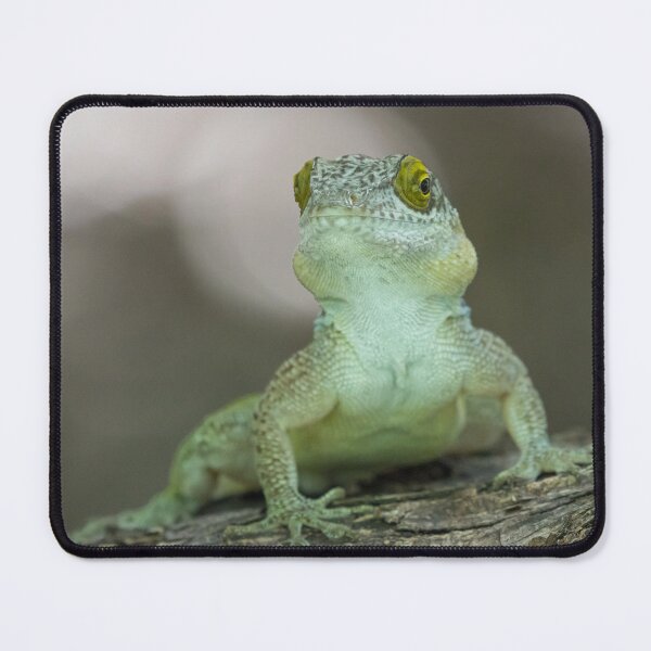 Item preview, Antiguan Anole Lizard designed and sold by LaurenTucker.