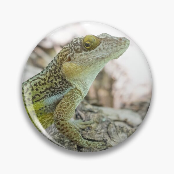 Item preview, Antiguan Anole Lizard designed and sold by LaurenTucker.