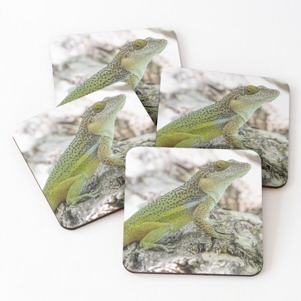 Item preview, Antiguan Anole Lizard designed and sold by LaurenTucker.