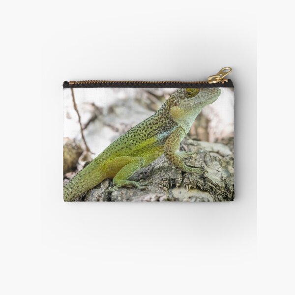 Item preview, Antiguan Anole Lizard designed and sold by LaurenTucker.