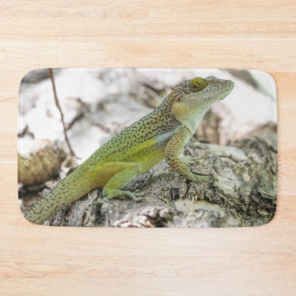 Item preview, Antiguan Anole Lizard designed and sold by LaurenTucker.