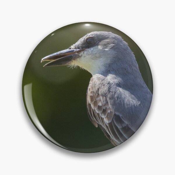 Item preview, Grey Kingbird designed and sold by LaurenTucker.