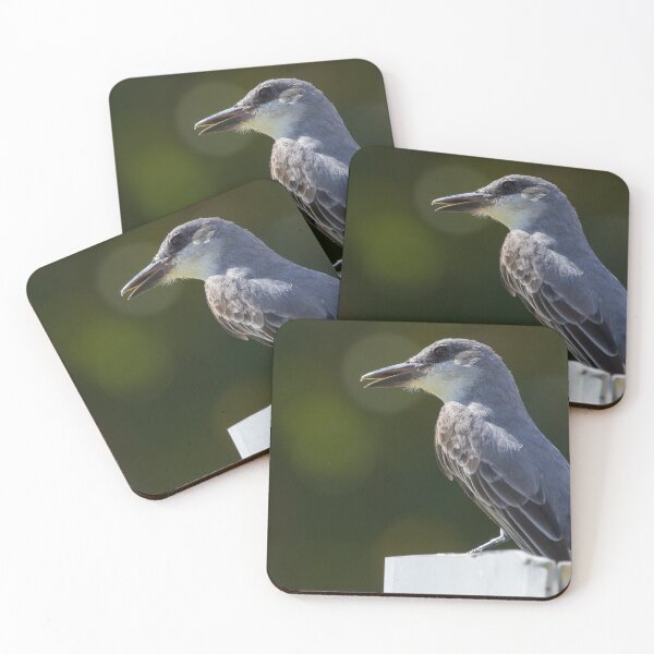 Item preview, Grey Kingbird designed and sold by LaurenTucker.