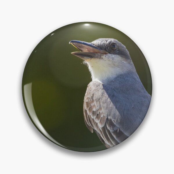 Item preview, Grey Kingbird designed and sold by LaurenTucker.