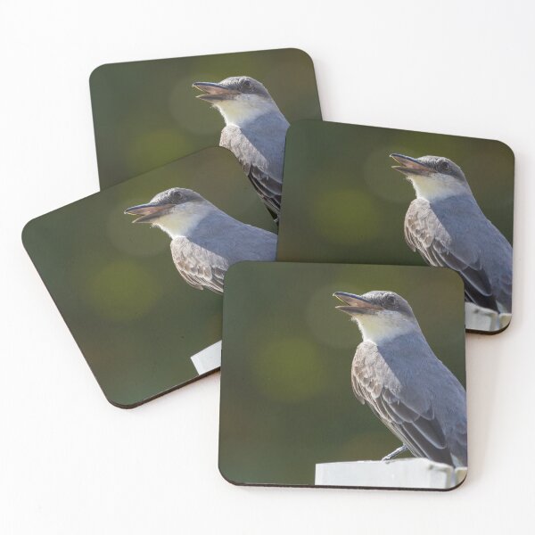 Item preview, Grey Kingbird designed and sold by LaurenTucker.