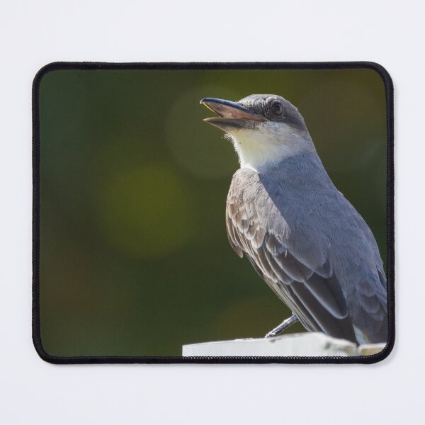 Item preview, Grey Kingbird designed and sold by LaurenTucker.