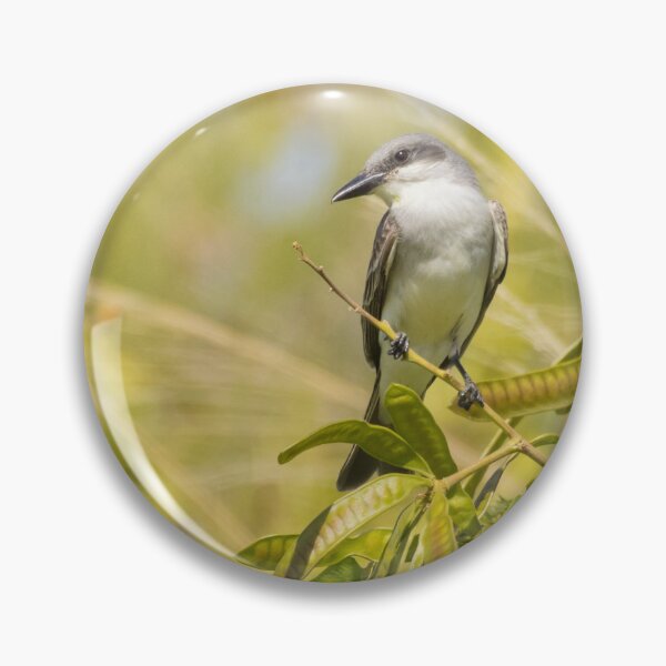 Item preview, Grey Kingbird designed and sold by LaurenTucker.