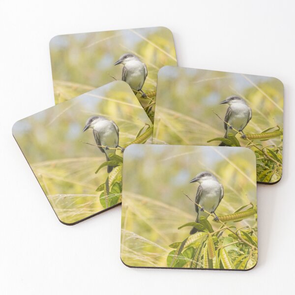 Item preview, Grey Kingbird designed and sold by LaurenTucker.