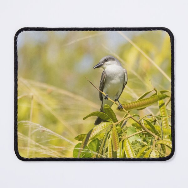 Item preview, Grey Kingbird designed and sold by LaurenTucker.