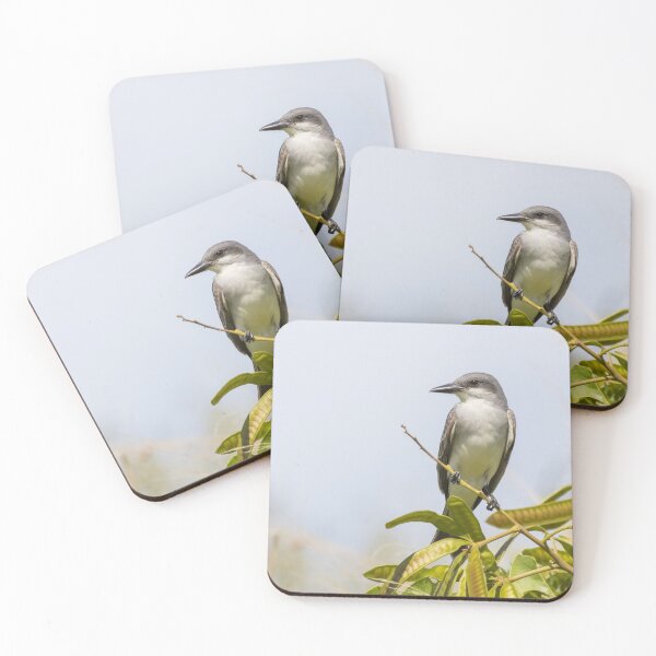 Item preview, Grey Kingbird designed and sold by LaurenTucker.