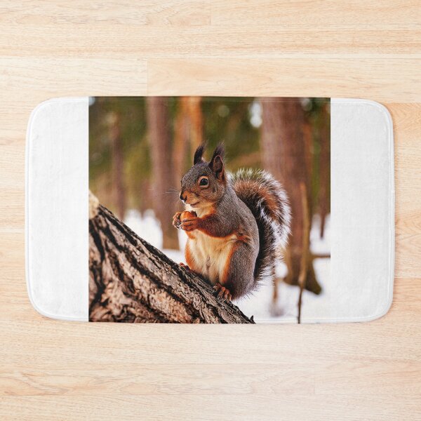 Item preview, the squirrel collects the hazelnuts designed and sold by Green studio.