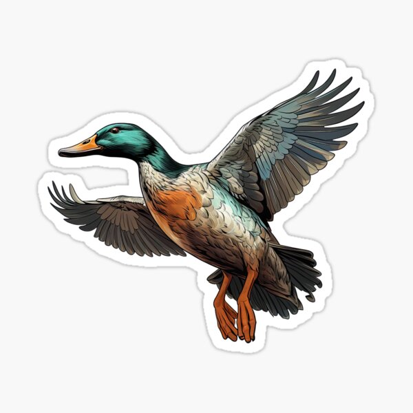 Artikel-Vorschau von Stockente, designt und verkauft von Pike Island Outfitters .