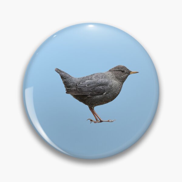 Item preview, American Dipper Color Design  designed and sold by designsasstultd.