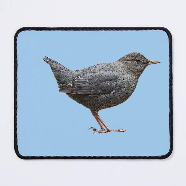 Item preview, American Dipper Color Design  designed and sold by designsasstultd.