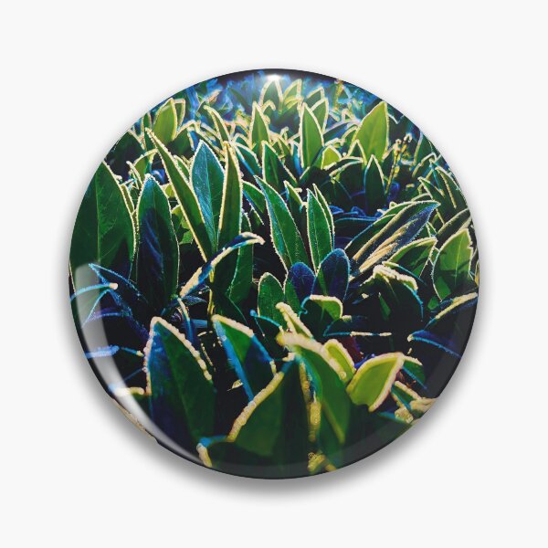 Item preview, Morning Thaw designed and sold by Steve Walser.