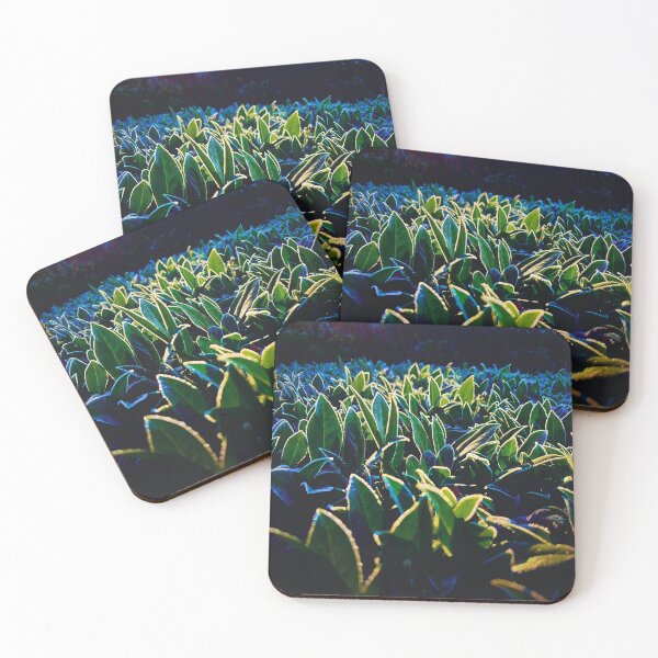 Item preview, Morning Thaw designed and sold by Steve Walser.