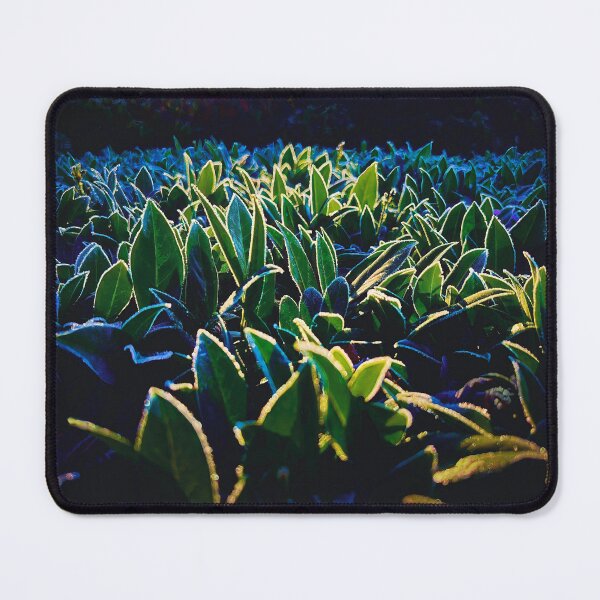 Item preview, Morning Thaw designed and sold by Steve Walser.