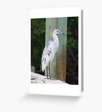 Little Blue Greeting Card